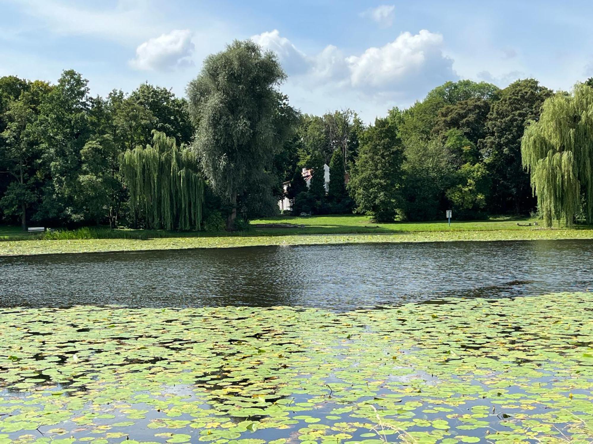 Dedek Park - Historyczny Dworek W Pieknym Parku Skaryszewskim Obok Stadionu Narodowego Warsaw Ngoại thất bức ảnh