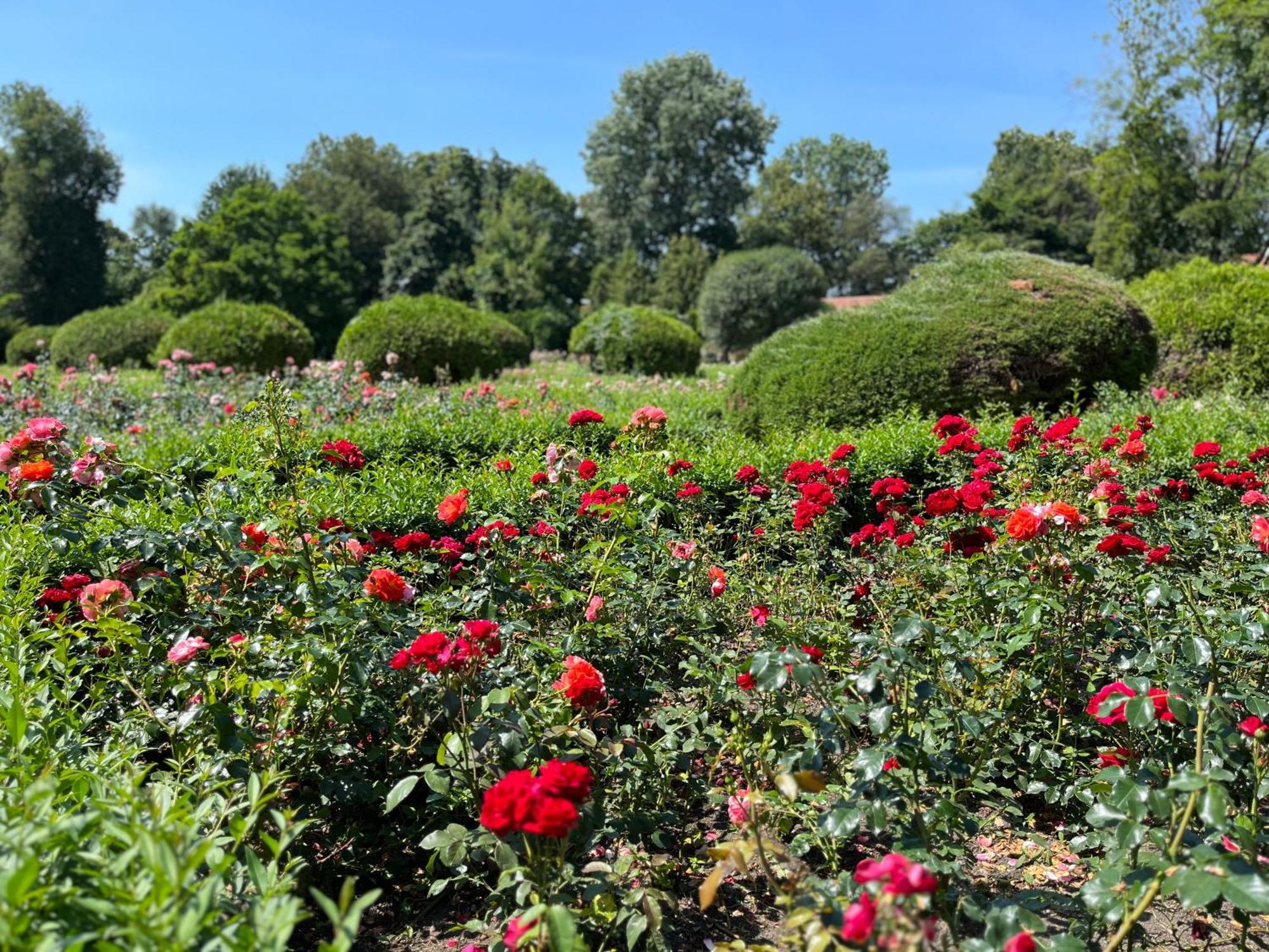 Dedek Park - Historyczny Dworek W Pieknym Parku Skaryszewskim Obok Stadionu Narodowego Warsaw Ngoại thất bức ảnh