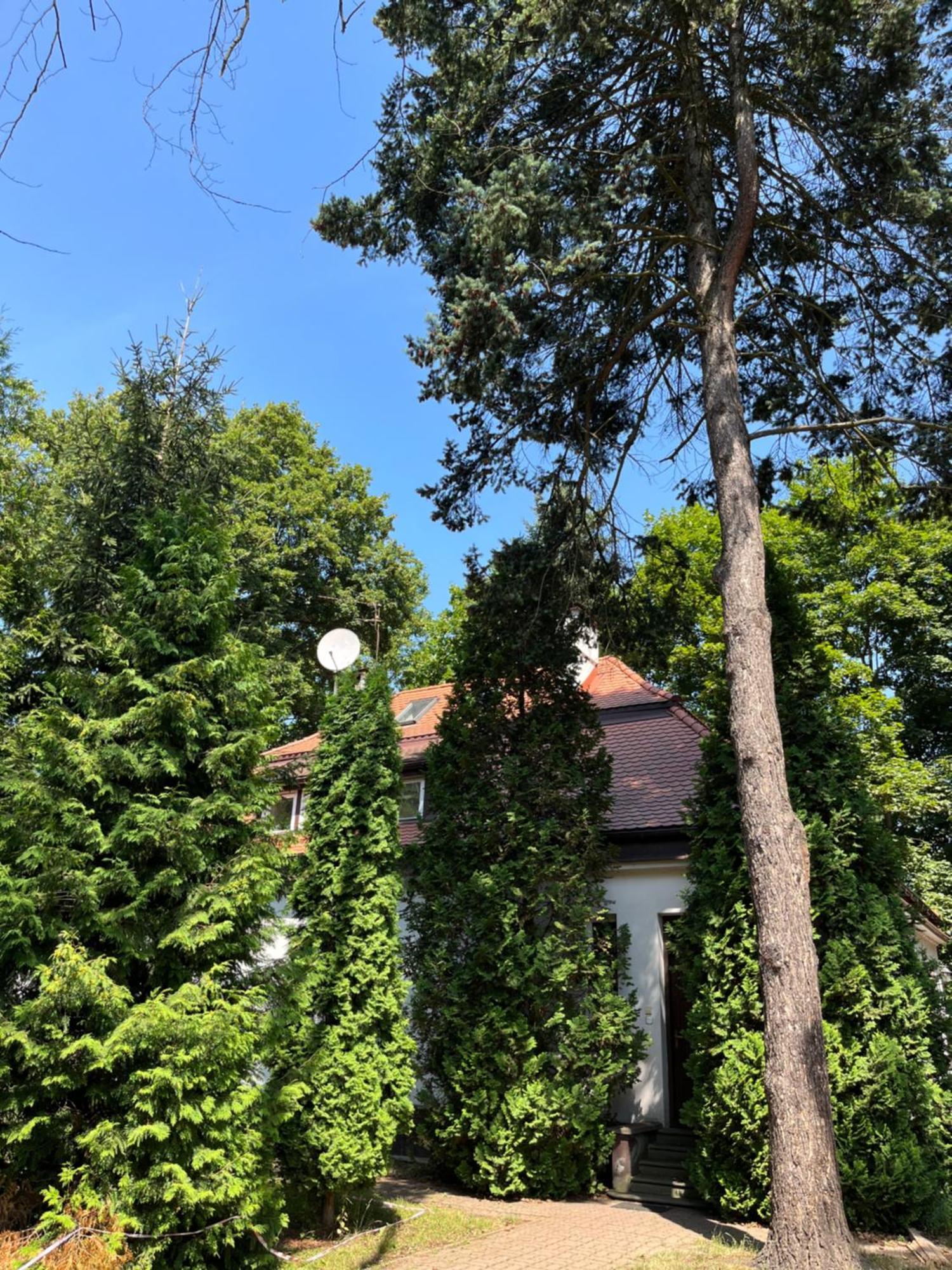 Dedek Park - Historyczny Dworek W Pieknym Parku Skaryszewskim Obok Stadionu Narodowego Warsaw Ngoại thất bức ảnh